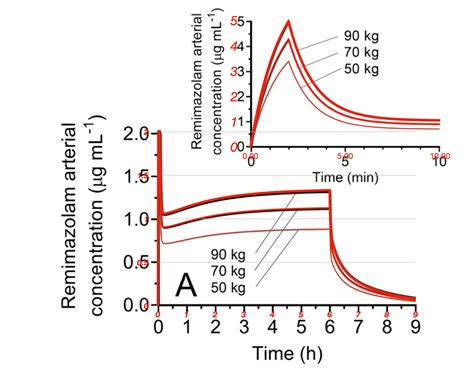 Remimazolam Pharmacokinetics Modeling Insights