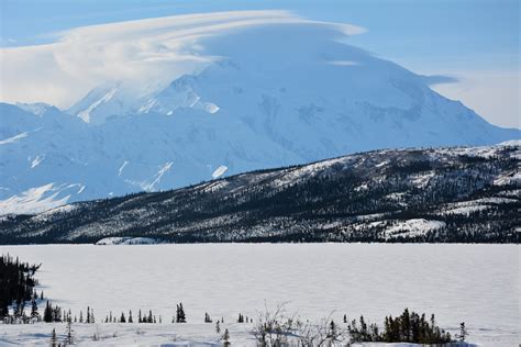 denali-winter-tour – Denali Dog Sled Tours