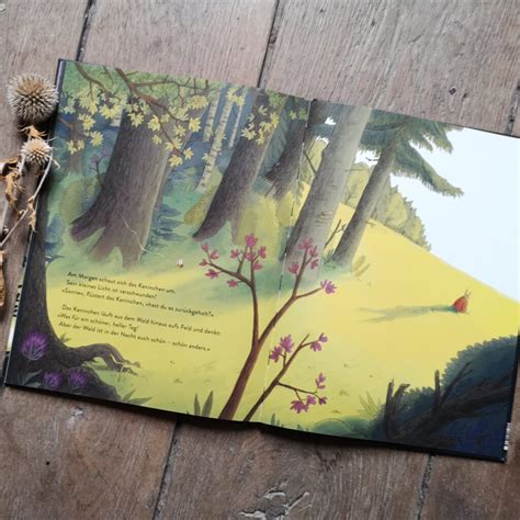 Ein Stimmungsvolles Bilderbuch Ein Licht Im Wald Buchkinderblog