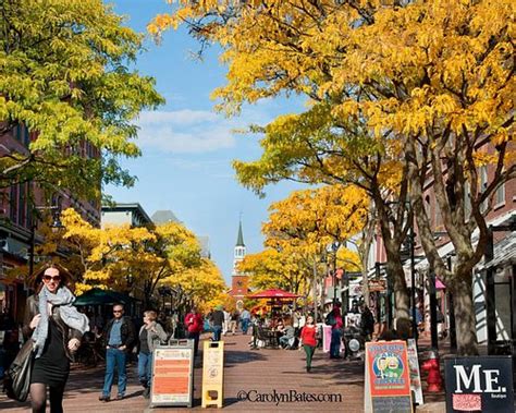 LES 10 MEILLEURES choses à faire à Burlington (2025) - Tripadvisor