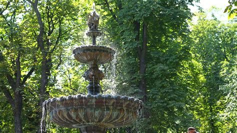 Water Fountain at Park 11490696 Stock Video at Vecteezy