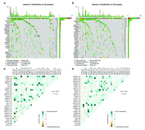 Mutated Genes And Their Interactions In Ovarian Cancer A B