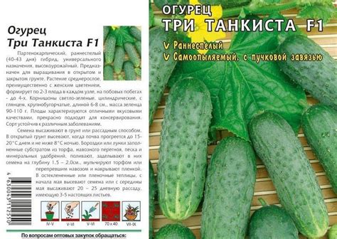 Огурцы «Три танкиста f1»: отзывы и фотографии, описание, выращивание и уход