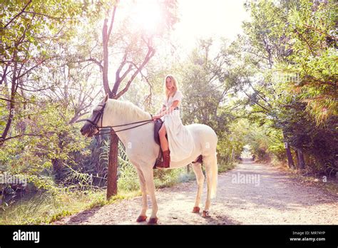 Fille Blonde Woman Un Cheval Blanc Dans Une Piste Foresti Re Outdoor Photo Stock Alamy
