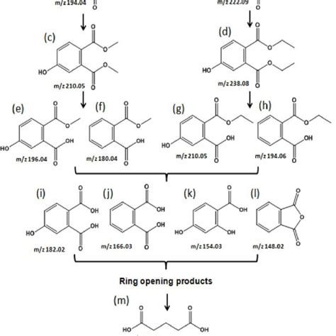 Proposed Degradation Pathways Of Dmp And Dep With Tio Degussa P