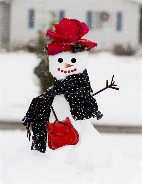 Snowlady Stock Photos - Free & Royalty-Free Stock Photos from Dreamstime