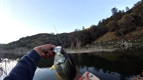 Lake Berryessa Spring Crappie 2020 Big Shticks Youtube