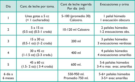 Cuantas Onzas De Leche Toma Un Bebé De 6 Meses