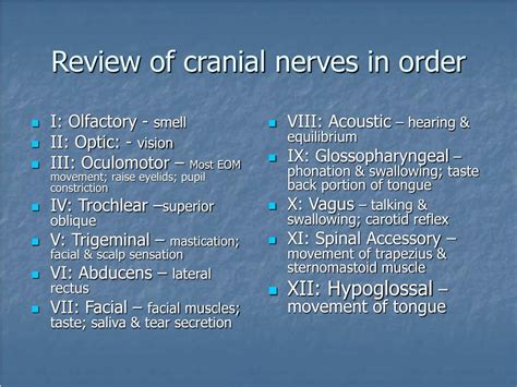 Ppt Assessment Of The Head Face And Neck Powerpoint Presentation Id 6846044