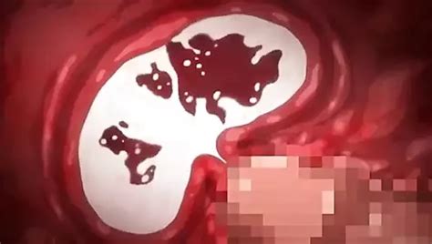 Anime Knight Getting Creampied Hentai Porn Xhamster