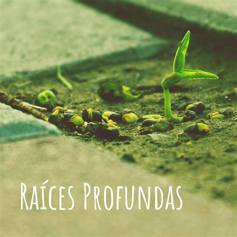 Echando Raíces Profundas Podcast on Spotify