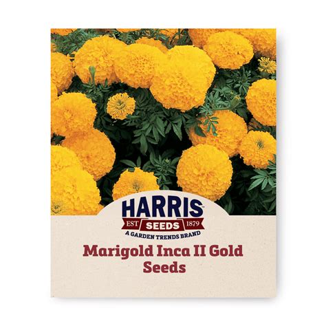 Harris Seeds Marigold Inca Ii Orange F1 Variety Non Gmo 50 Seeds Seeds