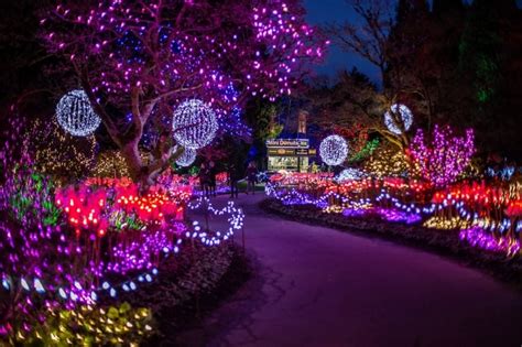 16 Best Christmas Lights Around the World You Need to See