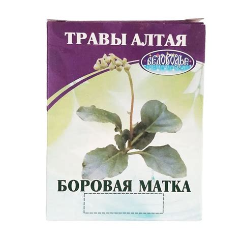 Боровая матка, ортилия однобокая, (Беловодье) - купить с доставкой по ...