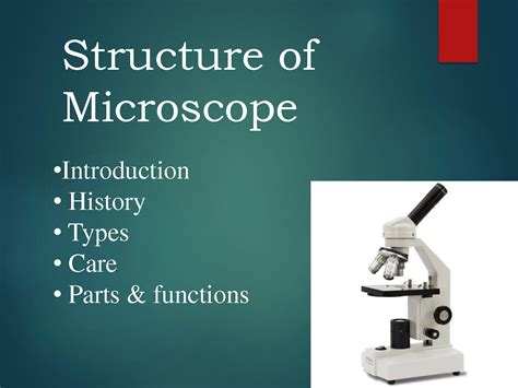 solution   structure  microscope studypool