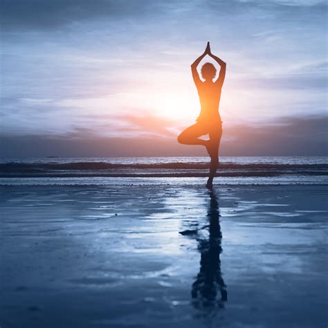 Introduction To Yoga ⋆ Holistic Lifestyle Guide