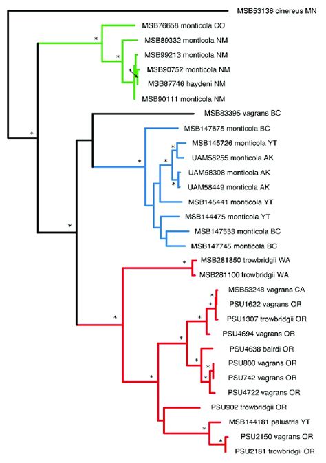 Maximum Likelihood Phylogeny Of Jemez Springs Virus L Segment Inferred