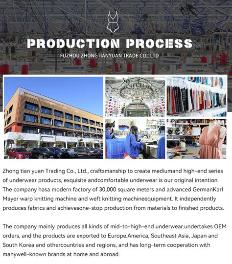 Chuangerm 2024 Hot Selling Sexy Lingerie For Women Sexy Colorful Embroidered Flower Mesh Steel