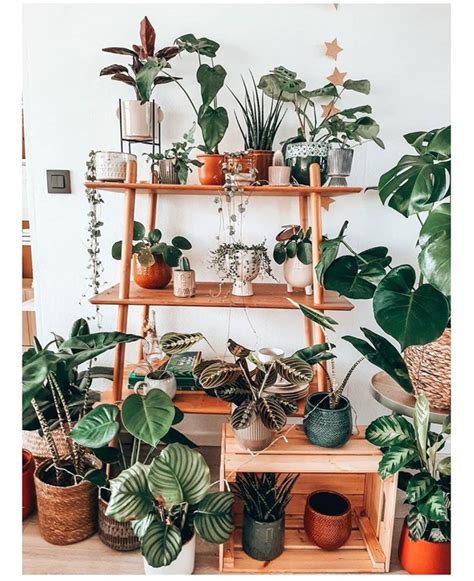 50 Plant Shelf Ideas For Your Home The Wonder Cottage