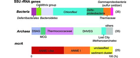 Bacterial And Archaeal SSU RRNA Genes And McrA Gene Community