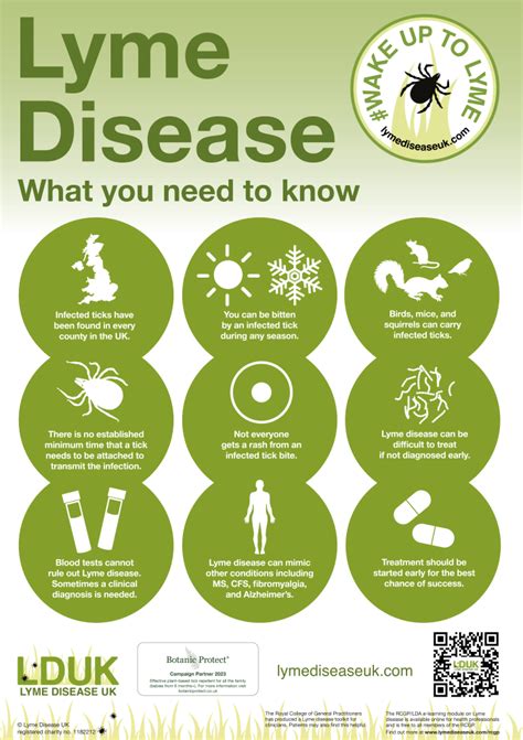 Lduk Awareness Poster 1 2023 Lyme Disease Uk