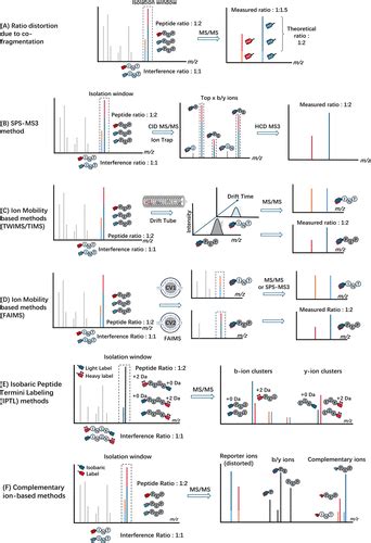 A Tutorial Review Of Labeling Methods In Mass Spectrometry Based