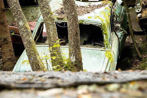 Abandoned Car Wreck Forest - Free photo on Pixabay - Pixabay