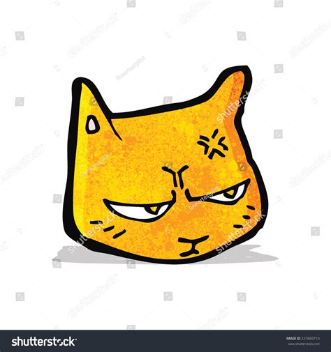 Cartoon Angry Cat Stock Vector Royalty Free 227669710 Shutterstock