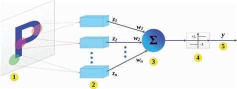 2 Frank Rosenblatt's original Perceptron. | Download Scientific Diagram