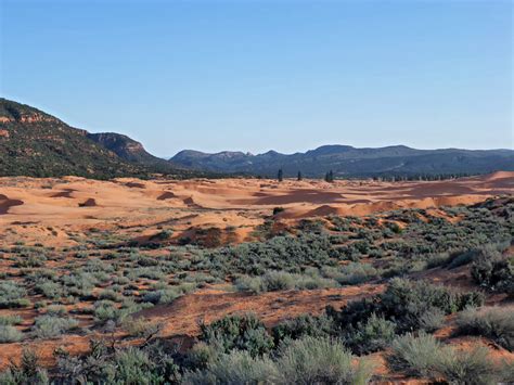 Coral Pink Sand Dunes State Park, Utah