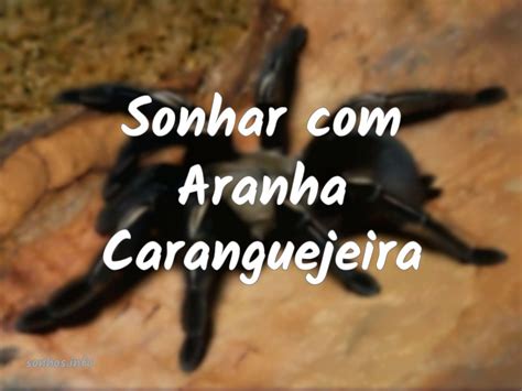 Sonhar Aranha Caranguejeira Sonhos Info