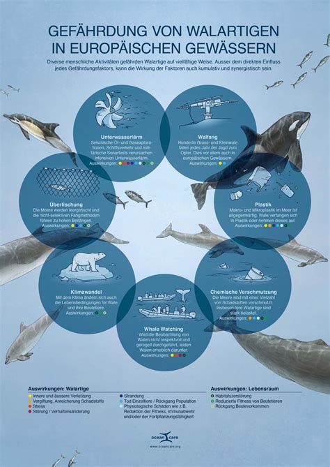 Mikroplastik Infografik Michael St Nzi