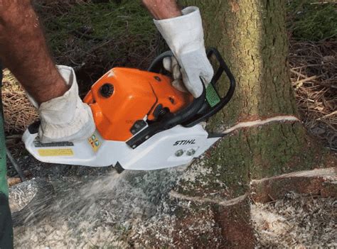 Бензопилы Штиль (Stihl) 361 — особенности и параметры модели