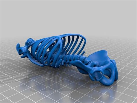 Skelett Stl 3d Print Modell Print Stl Datei Etsy Österreich