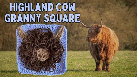 Crochet Tutorial The Highland Cow Granny Square Beginner Friendly