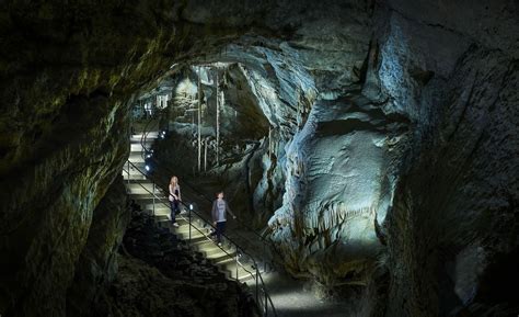 Visite De La Grotte Un Voyage Unique Domaine Des Grottes De Han