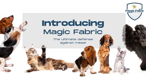 Introduction to Magic Fabric