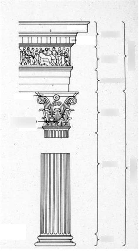 Diagram 1 Corinthian Order Diagram Quizlet