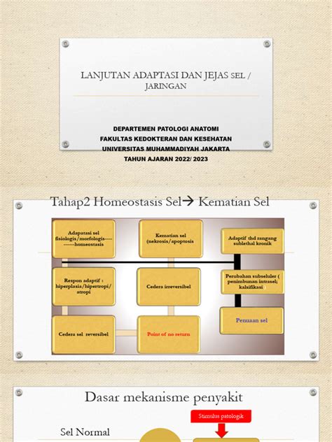 Kuliah Adaptasi Dan Jejas Sel Pada Jaringan And Dasar Inflamasi Sel