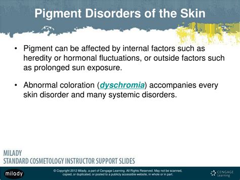 Ppt Skin Disorders And Diseases A Comprehensive Guide Powerpoint