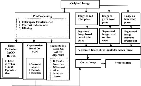 model   proposed methodology  scientific diagram