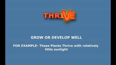 Thrive Meaning and Pronunciation in English - YouTube