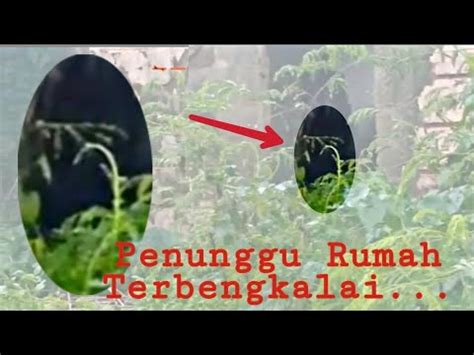 Live Misteri Ditungguin Sosok Aneh Saat Menunggu Magrib Youtube