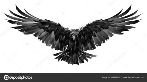 Painted raven bird in flight on a white background Stock Photo by ©khius 369033602