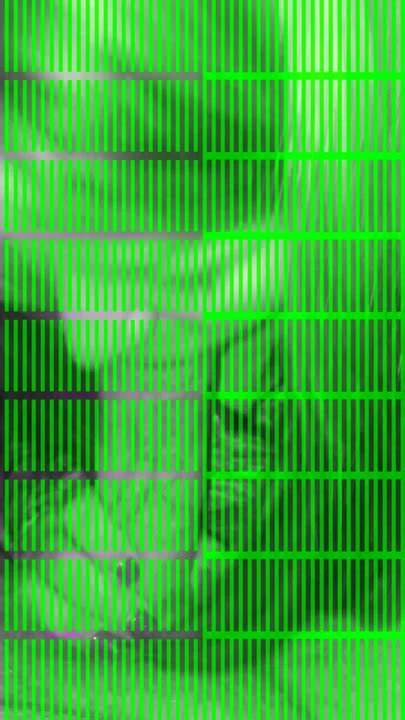 My Slut Sucking My Dick Blowjob Blowjob Porn XHamster