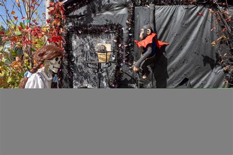 The Hidden Gem of Flagstaff: Viola's Pumpkin Patch - Renaissance Alana