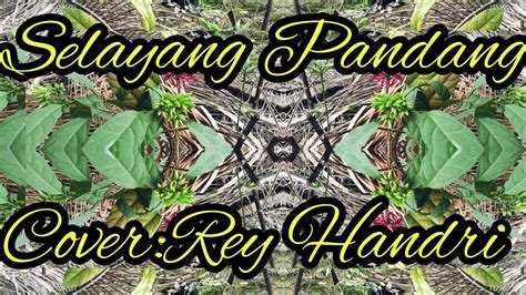 Selayang Pandang Youtube