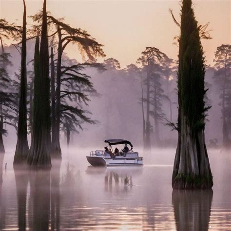 Caddo Lake Big Cypress Tour Updated May 2025 20 Photos Karnack