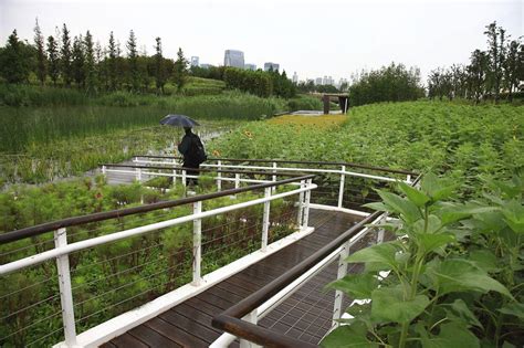 Gallery Of Shanghai Houtan Park Turenscape 9