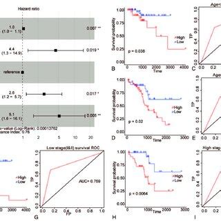 Risk Score Was An Independent Prognostic Signature For EC In Validation